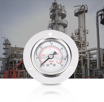 Industri Petrokimia Pressure Gauges